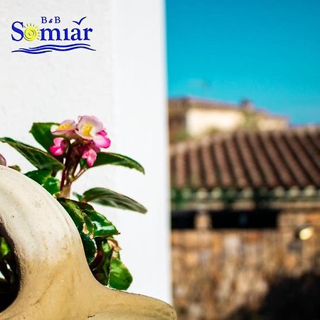 B&B Somiar Сан-Теодоро Екстер'єр фото