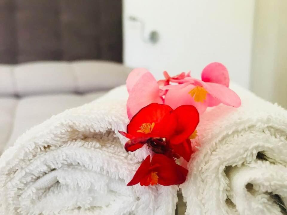 B&B Somiar Сан-Теодоро Екстер'єр фото